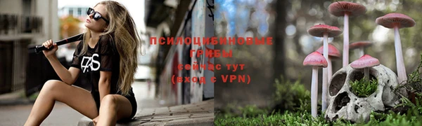 ГАЛЛЮЦИНОГЕННЫЕ ГРИБЫ Аркадак