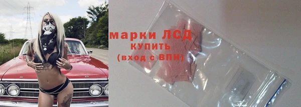 прущие грибы Алзамай
