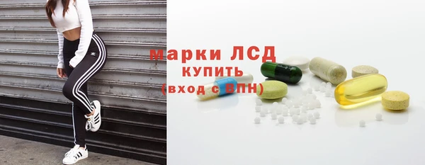 прущие грибы Алзамай