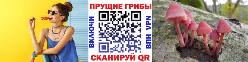 Псилоцибиновые грибы прущие грибы  магазин продажи наркотиков  Куйбышев 